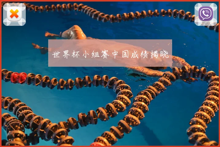 世界杯小组赛中国成绩揭晓