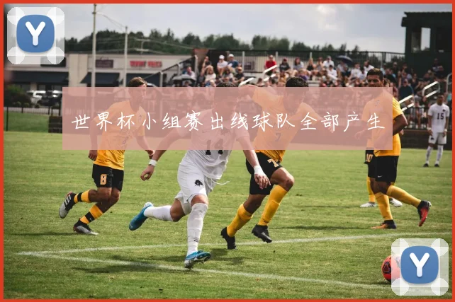 世界杯小组赛出线球队全部产生