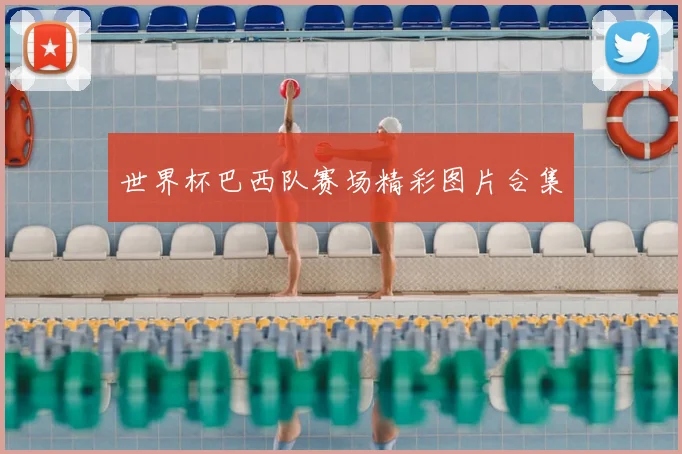 世界杯巴西队赛场精彩图片合集