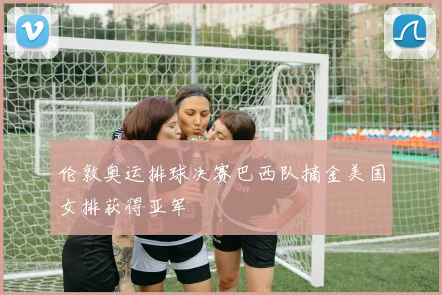 伦敦奥运排球决赛巴西队摘金美国女排获得亚军