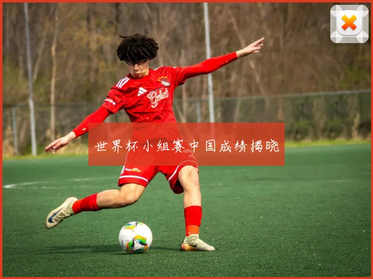 世界杯小组赛中国成绩揭晓
