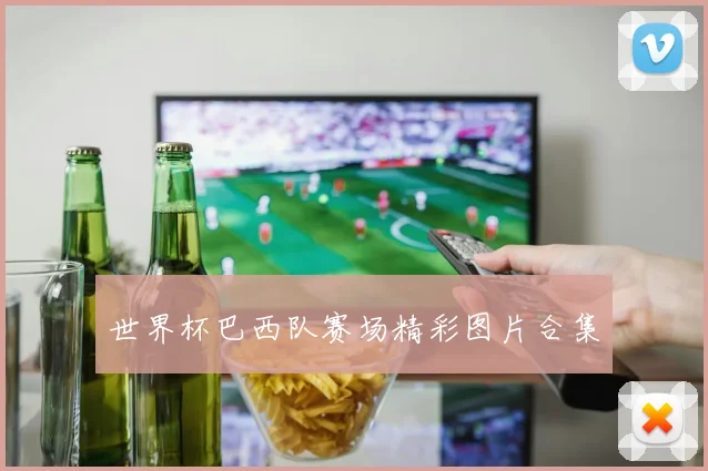 世界杯巴西队赛场精彩图片合集